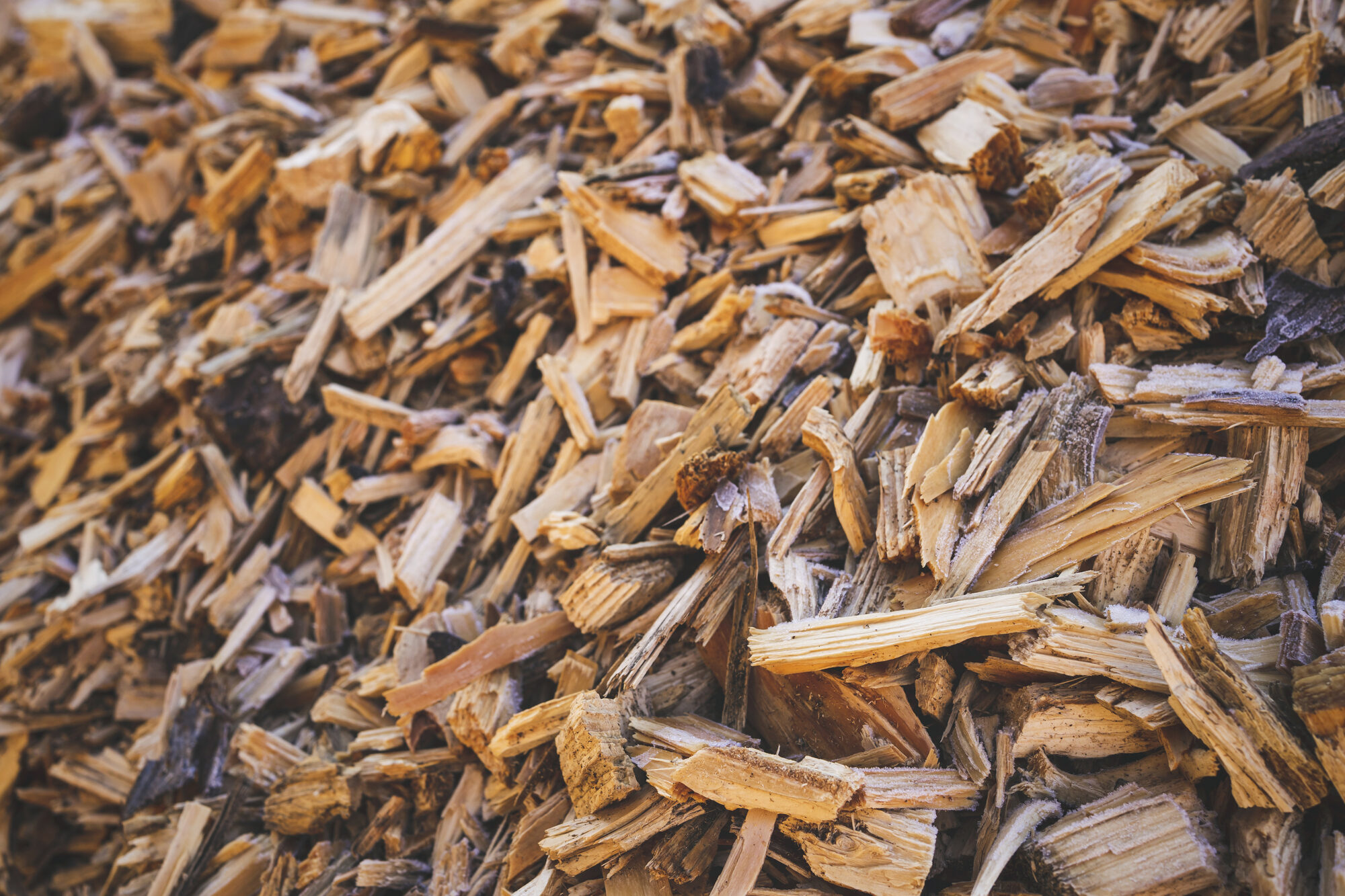 Edilizia in legno e paesaggio