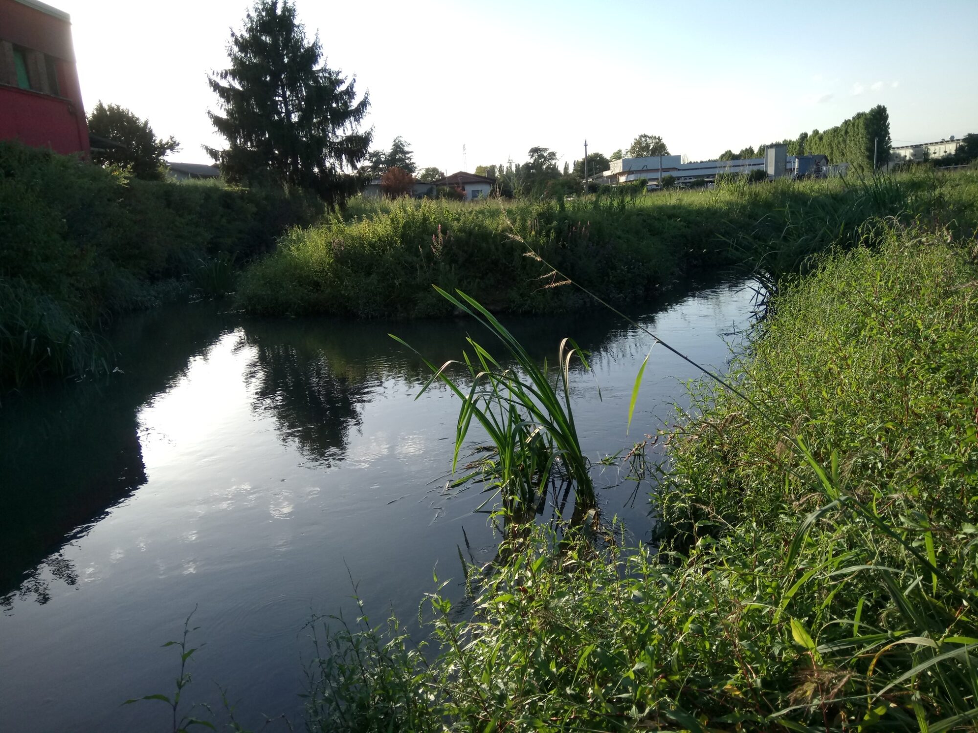Canale, vegetazione e lettura del territorio