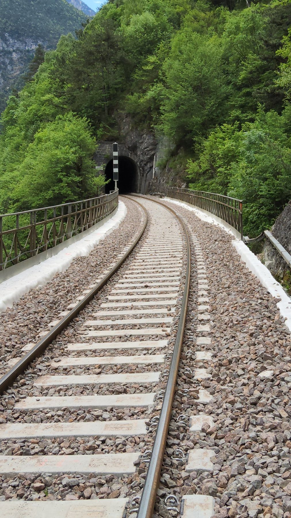 Sopralluogo su infrastruttura ferroviaria in ambito montano